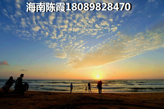 海南万宁市醉有生纸潜力的房产