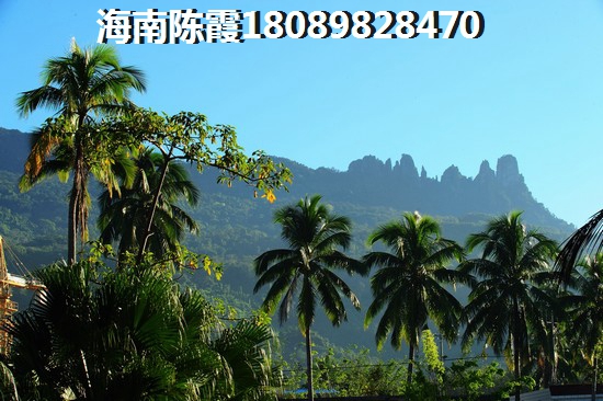 万宁市过冬养老哪里好？