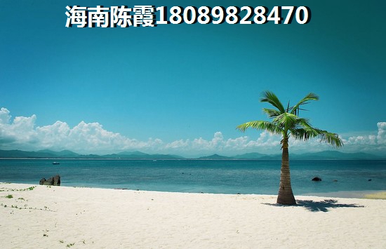 海南房子适合touzi