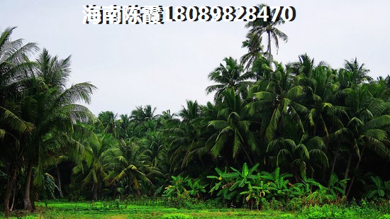 万宁永桥尚城房价贵不贵? 万宁永桥尚城房价贵不贵?