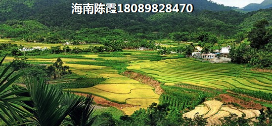 《恒大双海湾与龙憩园中园“候鸟”老人的理想居住之选,海南万宁新房投资巅峰》